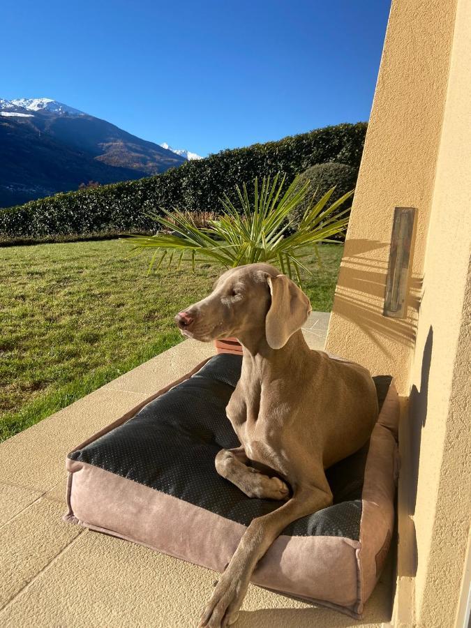 Design & Mountain View Bedroom Aosta Exterior foto
